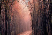 尼斯客场大胜拿下关键三分，全队士气高昂