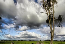 摩纳哥客场逆袭，成功击败对手