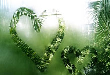 多家球队晋级下一轮，竞争愈发激烈