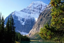 捷克球员奥乔利宣布离开勒沃库森，新征程在即