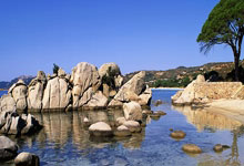 瑞典队淘汰乌克兰晋级欧洲杯半决赛将对阵英格兰